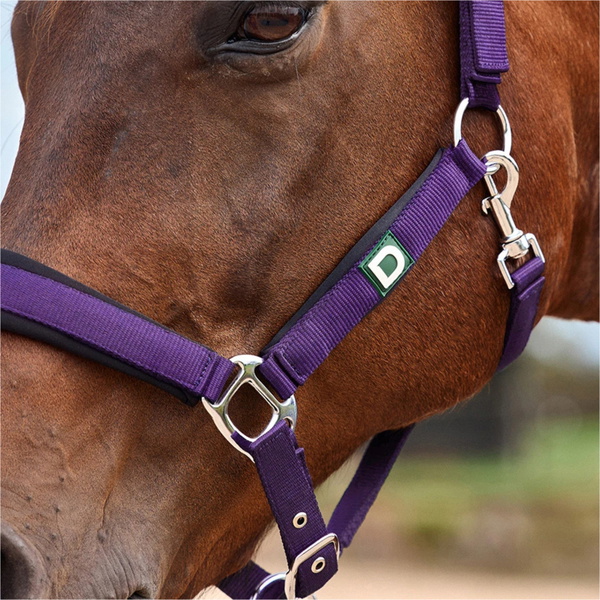2026 Dublin Neo Comfort Headcollar 1031035 - Purple